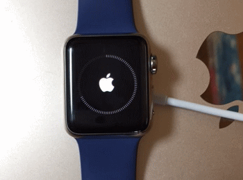 Apple Watchにパスコード入力して起動を確認