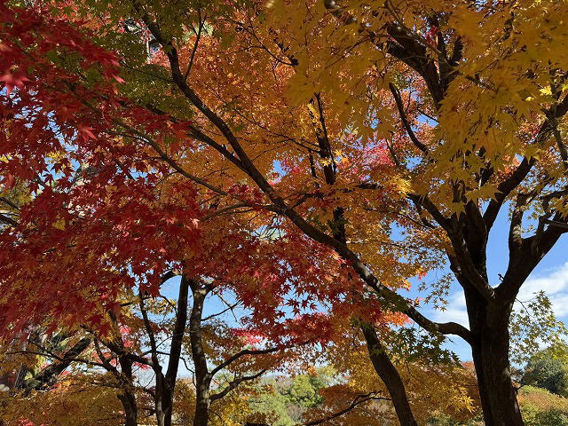 金沢城公園