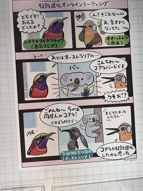 解説は漫画