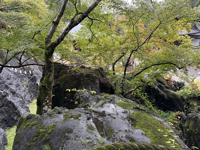 硅灰石