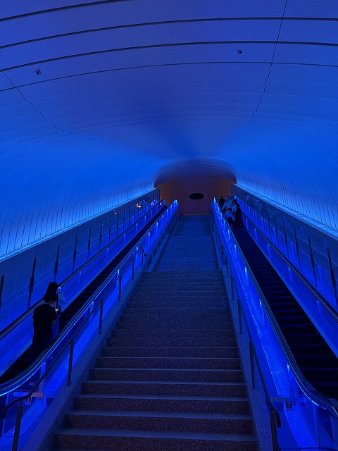 幻想的な長いエスカレーター