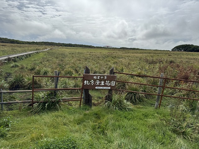北方原生花園